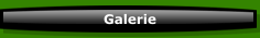 Galerie